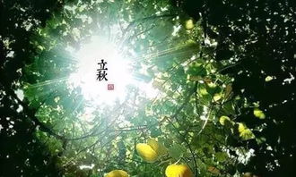 福州立秋去哪里好玩