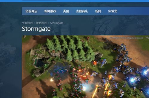 游戏攻略网站