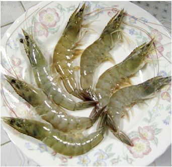 福州特产虾制成的