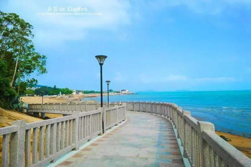 到厦门旅游自助游攻略