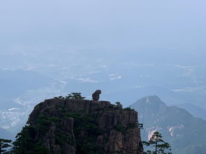 厦门黄山旅游攻略