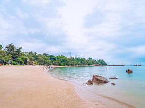 厦门赶海旅游攻略