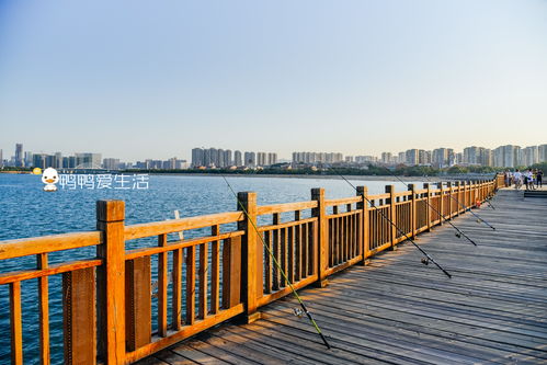 厦门湿地旅游攻略