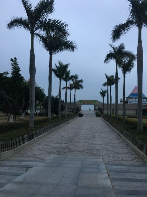 寒假旅游攻略厦门