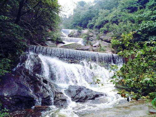 大悟旅游攻略厦门