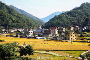 厦门旅游稻田攻略