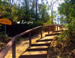 厦门仙岳旅游攻略