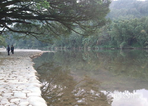 暑假泉州厦门旅游攻略