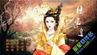 后妃游戏攻略