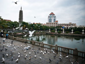 厦门旅游攻略日落图片