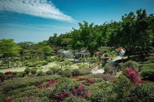 坪山旅游厦门攻略