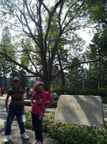 厦门亲子旅游攻略画廊