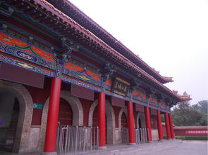 厦门至洛阳旅游攻略