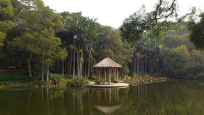 厦门免费旅游公园攻略