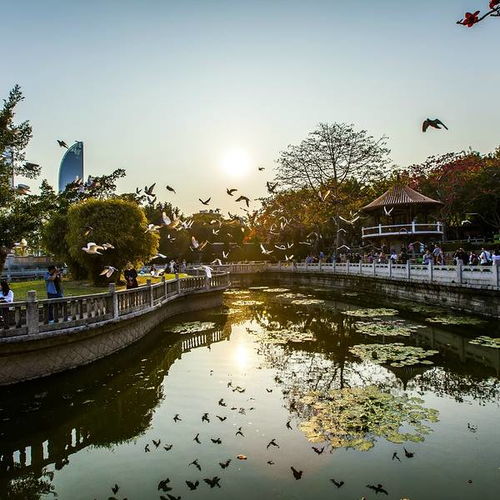厦门旅游攻略思明路