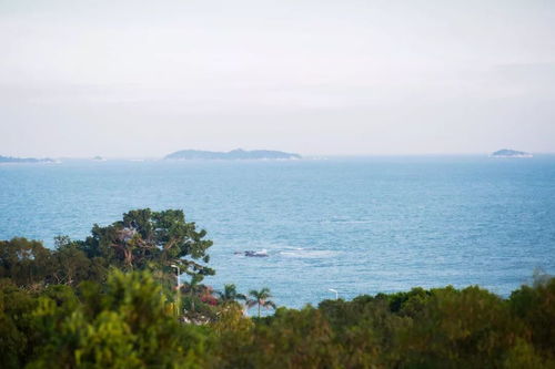 厦门出差旅游攻略