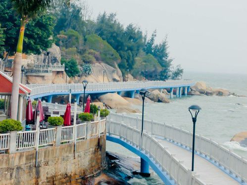 春节厦门同安旅游攻略