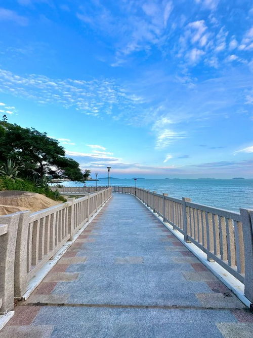 厦门游玩岛外旅游攻略