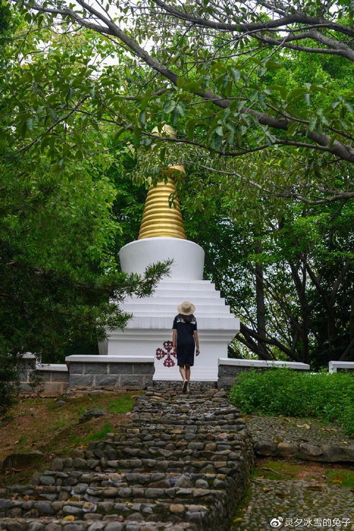 住厦门集美旅游攻略