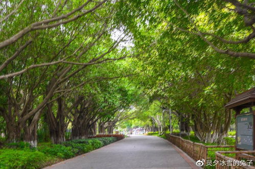 厦门集美旅游攻略住宿