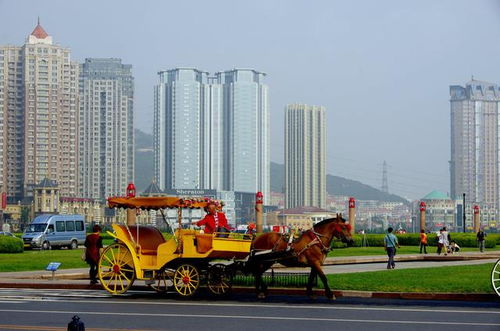 青岛大连厦门旅游攻略