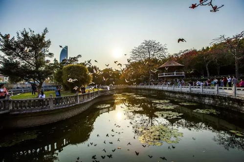 厦门旅游中秋游攻略