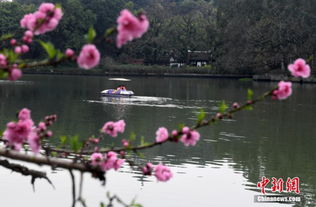 福州西湖公园附近特产