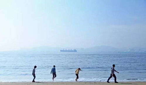 厦门不开车旅游攻略