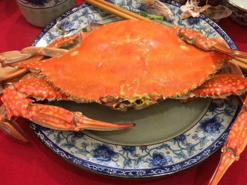 福州特产螃蟹什么品种