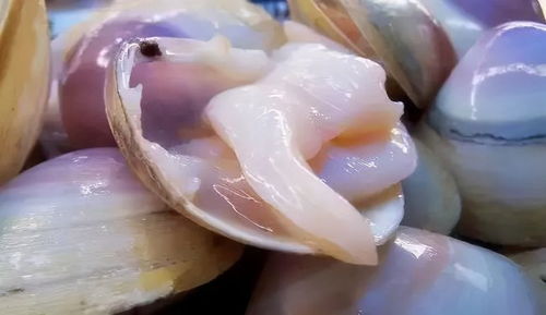 福州特产麦牙糖