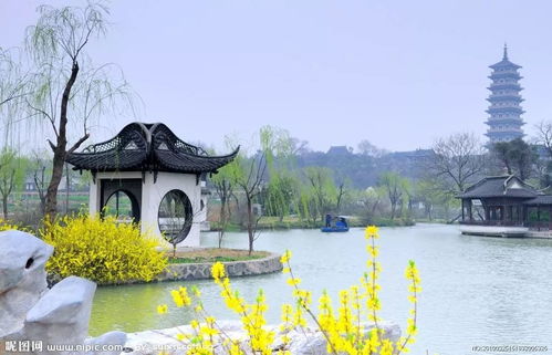 厦门西湖村攻略旅游
