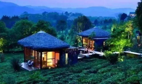 厦门茶庄园旅游攻略