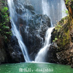 旅游攻略厦门野山谷