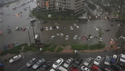 厦门暴雨旅游攻略视频