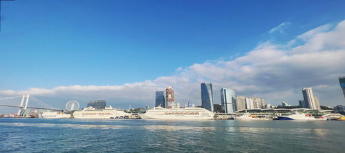 厦门游轮旅游推荐攻略