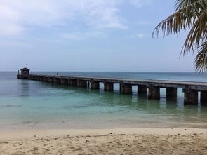 斐济旅游攻略厦门好玩