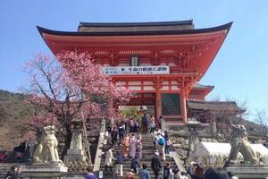 厦门到日本旅游 攻略