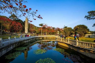 宠物公园厦门旅游攻略