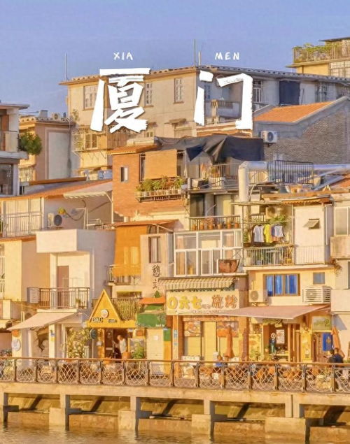厦门旅游吃饭性价比攻略