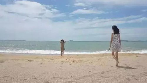 厦门旅游宠物攻略推荐
