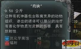 迷失游戏攻略水母