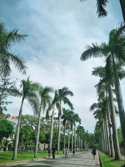 厦门旅游宝宝拍照攻略图