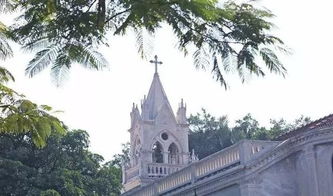 南宁厦门旅游攻略四天