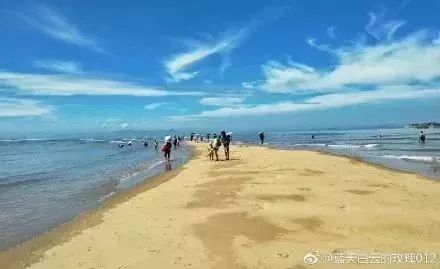 厦门赶海付费旅游攻略图