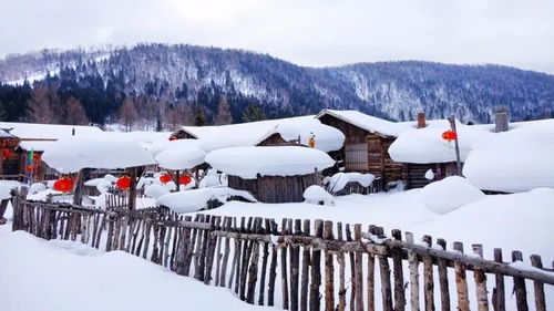 深圳厦门雪乡旅游攻略