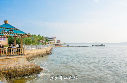 冬日厦门旅游攻略自由行