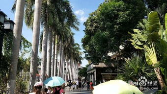 荷兰厦门旅游住宿攻略图