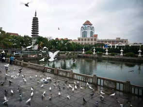 厦门最全旅游攻略含交通