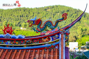 厦门罗汉山旅游攻略