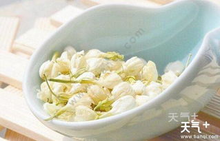 福州特产 茉莉花茶